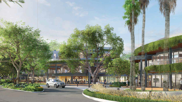 Twin Palms