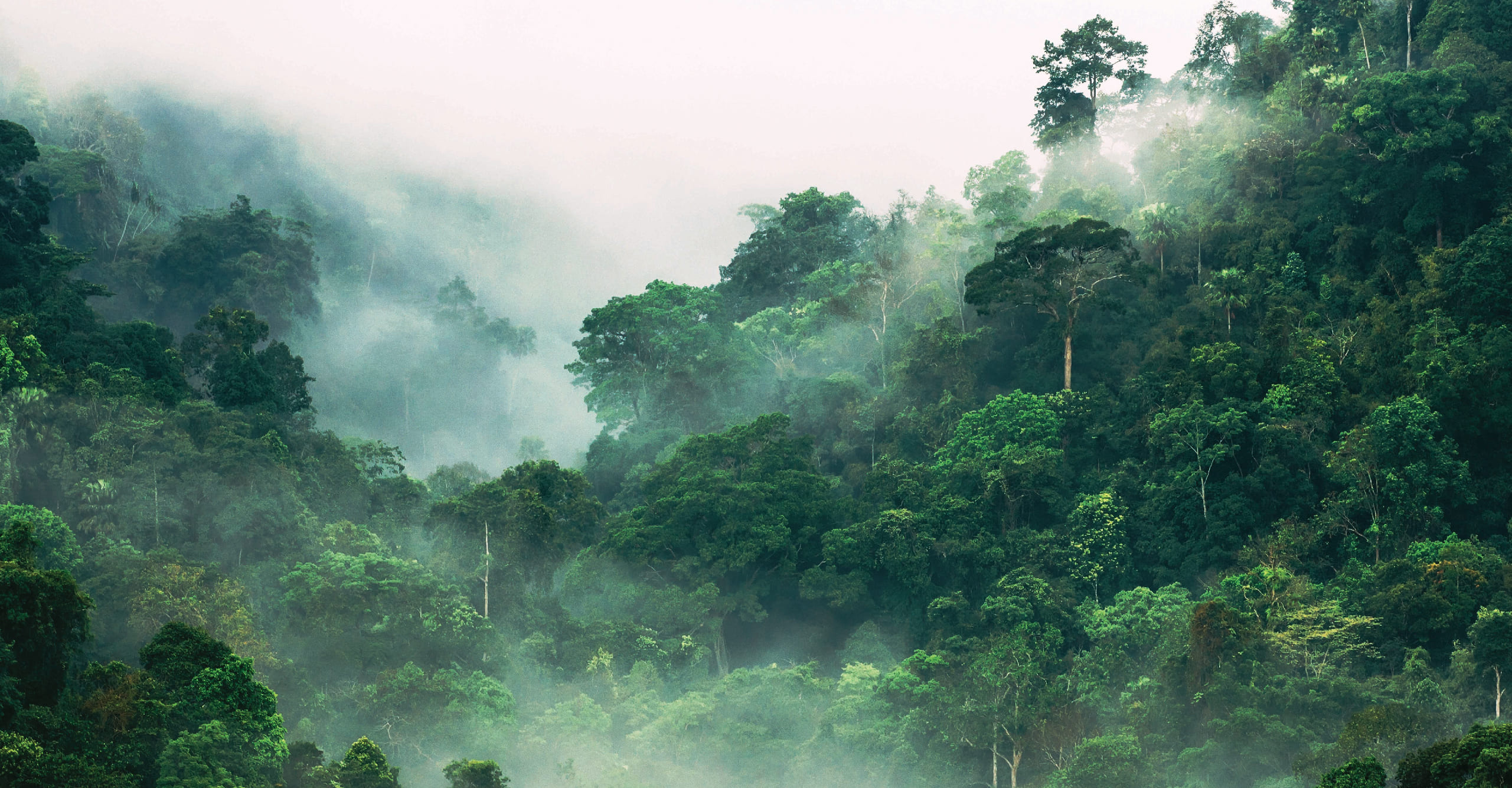 Environmental Initiatives