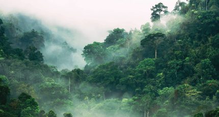 Environmental Initiatives